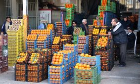 برخورد با دلال‌های میدان میوه و ترباره الغدیر از توان سازمان خارج است/ دستگاه‌ های نظارتی باید ورود کنند