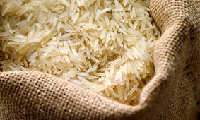 متعادل سازی بازار برنج با لغو ممنوعیت واردات