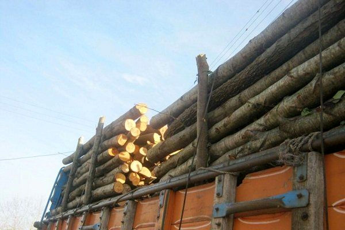 بیش از ۷ تُن انواع چوب آلات قاچاق در املش و تالش کشف و ضبط شد