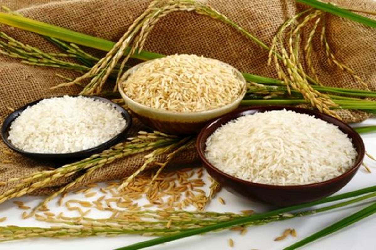 تهدید رکود بازار برنج داخلی در پی واردات بی رویه برنج خارجی