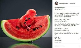 یادگار امام: از هر مصیبت و حادثه ناگوارى به خدا پناه مى‌بریم