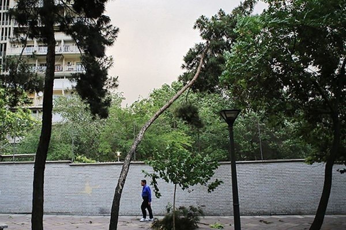 پیش‌بینی وزش باد شدید در خراسان جنوبی/ هوا گرم تر می‌شود