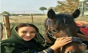 تیزر فیلم سریک