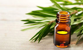 از بین بردن خال گوشتی با روغن درخت چای