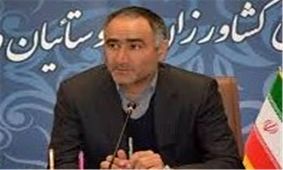 بیش از ۴۰ درصد روستاییان کشور فاقد پوشش بیمه‌ای هستند