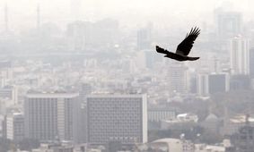 نمی‌توانیم آمار دقیق قربانیان آلودگی هوا را اعلام کنیم