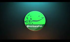 فیلم/ حمله‌ور شدن هزاران پرنده به یک شهر