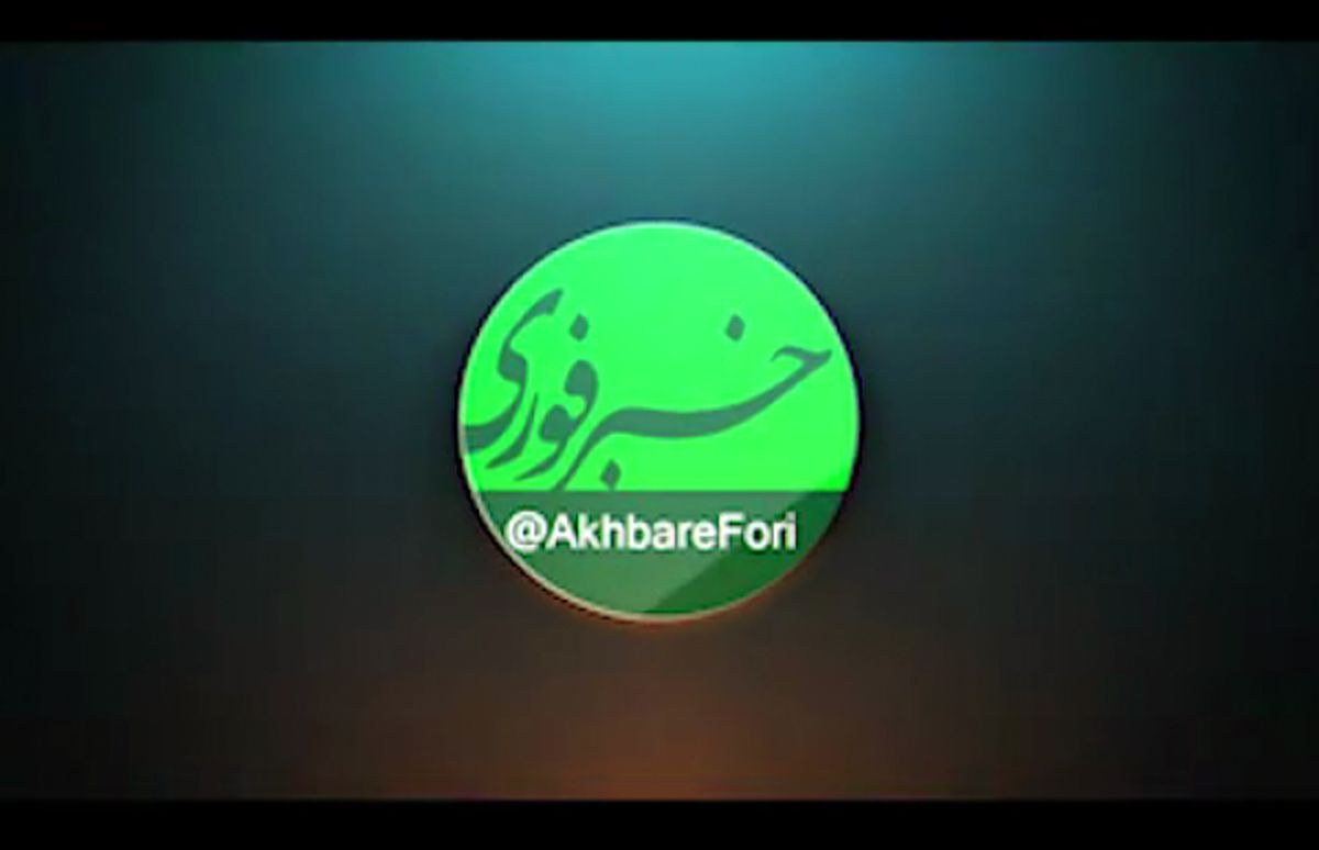 فیلم/ حمله‌ور شدن هزاران پرنده به یک شهر