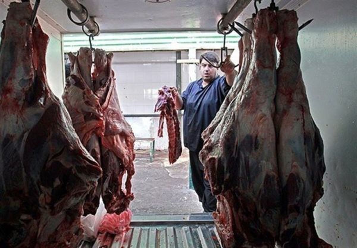 گوشت تازه گوسفندی ۳۳ هزار تومانی در ایام نوروز توزیع می شود