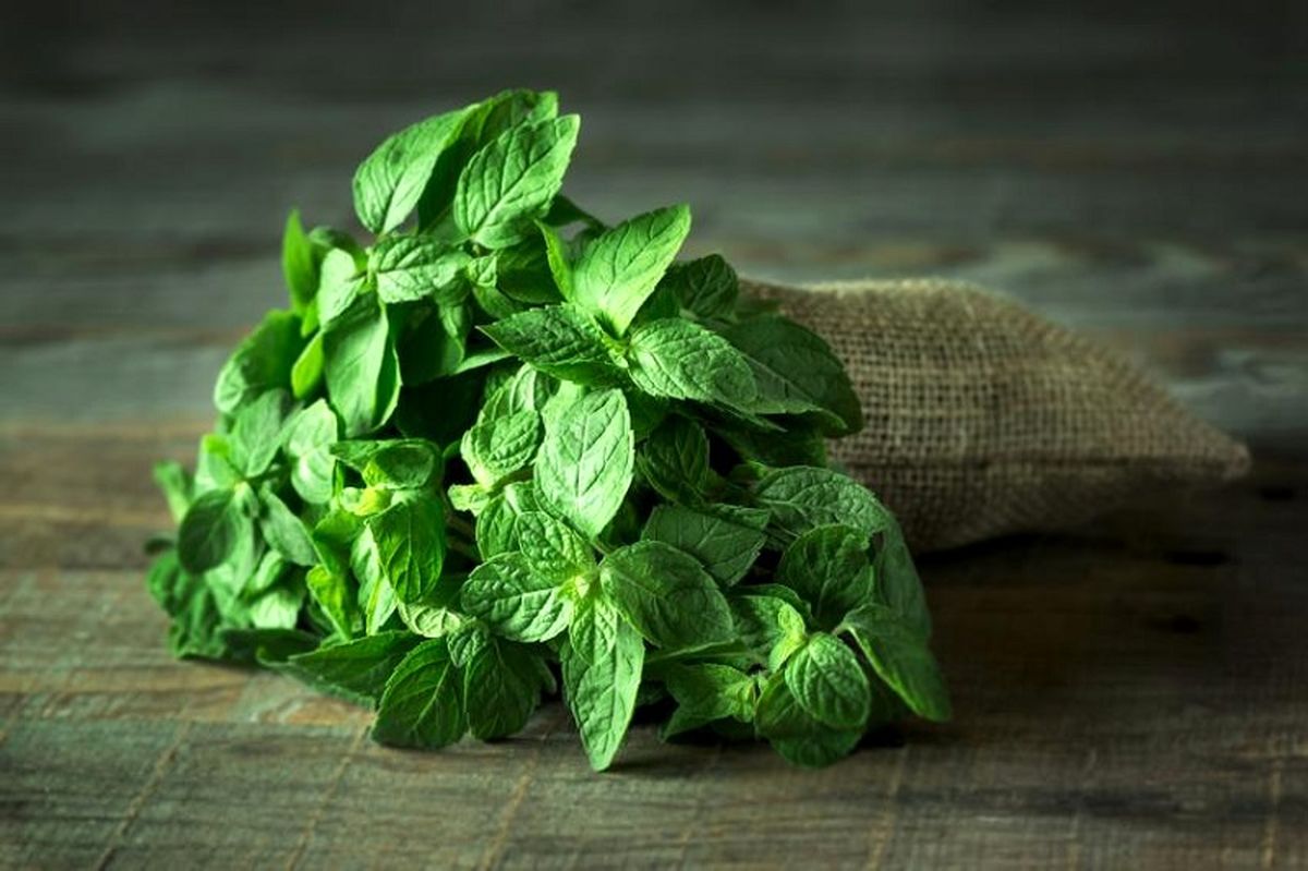 برای مقاوم سازی بدنتان از این نوع سبزی ها غافل نشوید
