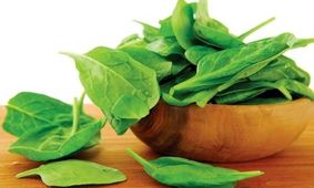 گیاهان حاوی آهن را بشناسید