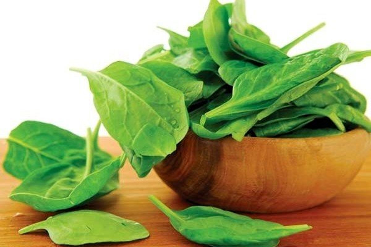 گیاهان حاوی آهن را بشناسید