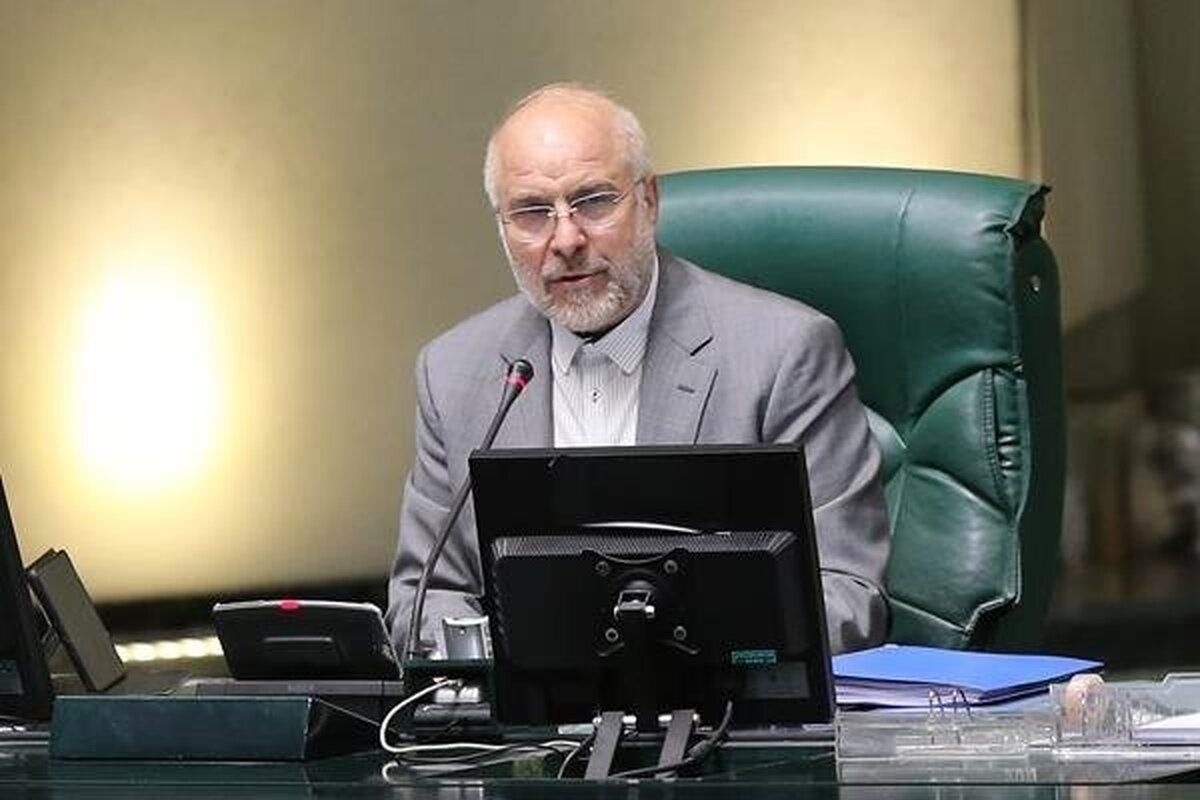 رییس مجلس: به دولت برای حل گرانی و کمبود دارو، ۲ماه فرصت می دهیم