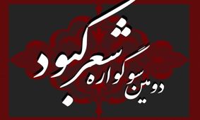 مثنوی و قصیده به قالب‌های سوگواره «شعر کبود» اضافه شد