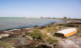 مرگ تنها خلیج ایرانی خزر به روایت تصویر