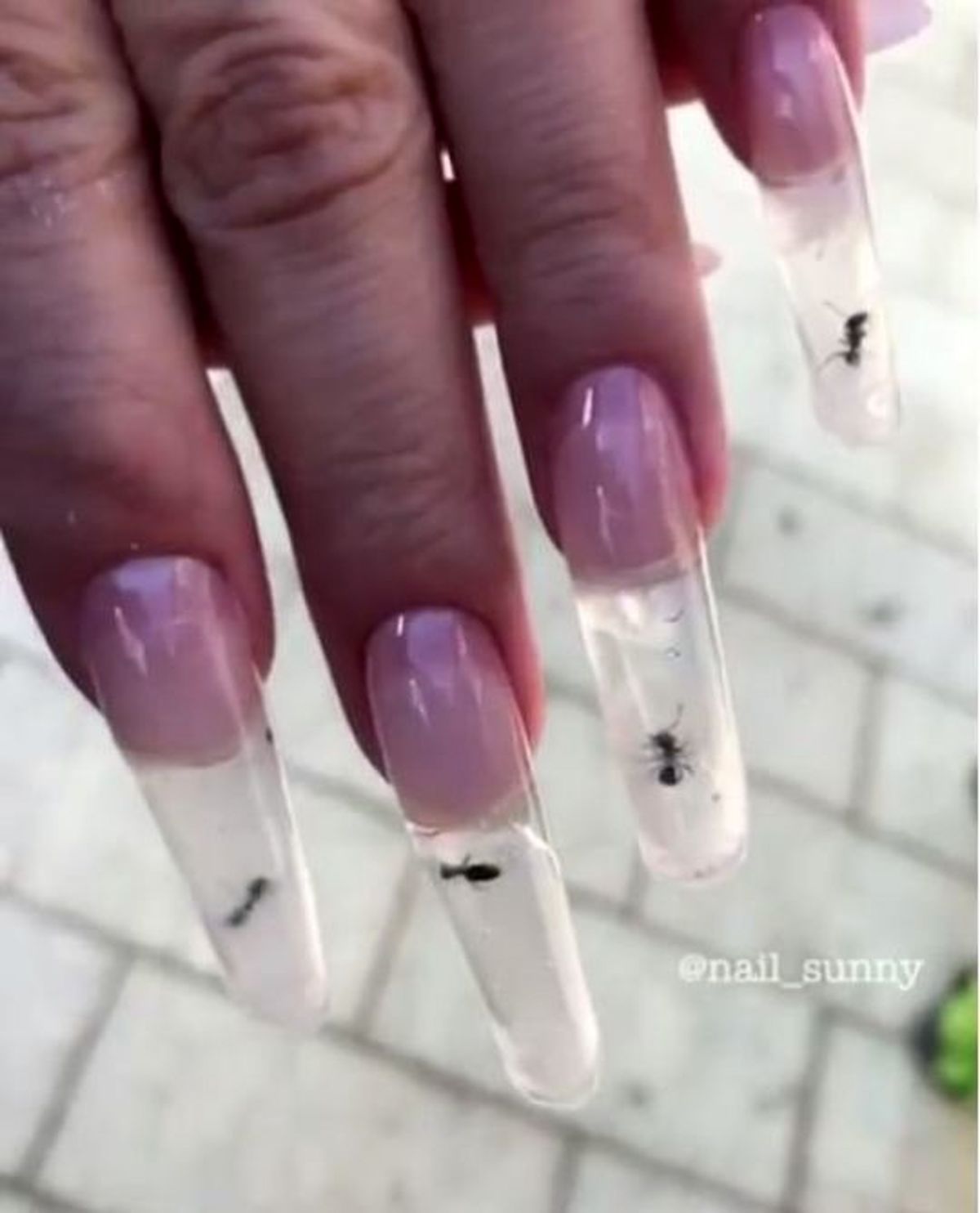 مانیکور ناخن با مورچه های زنده +تصاویر