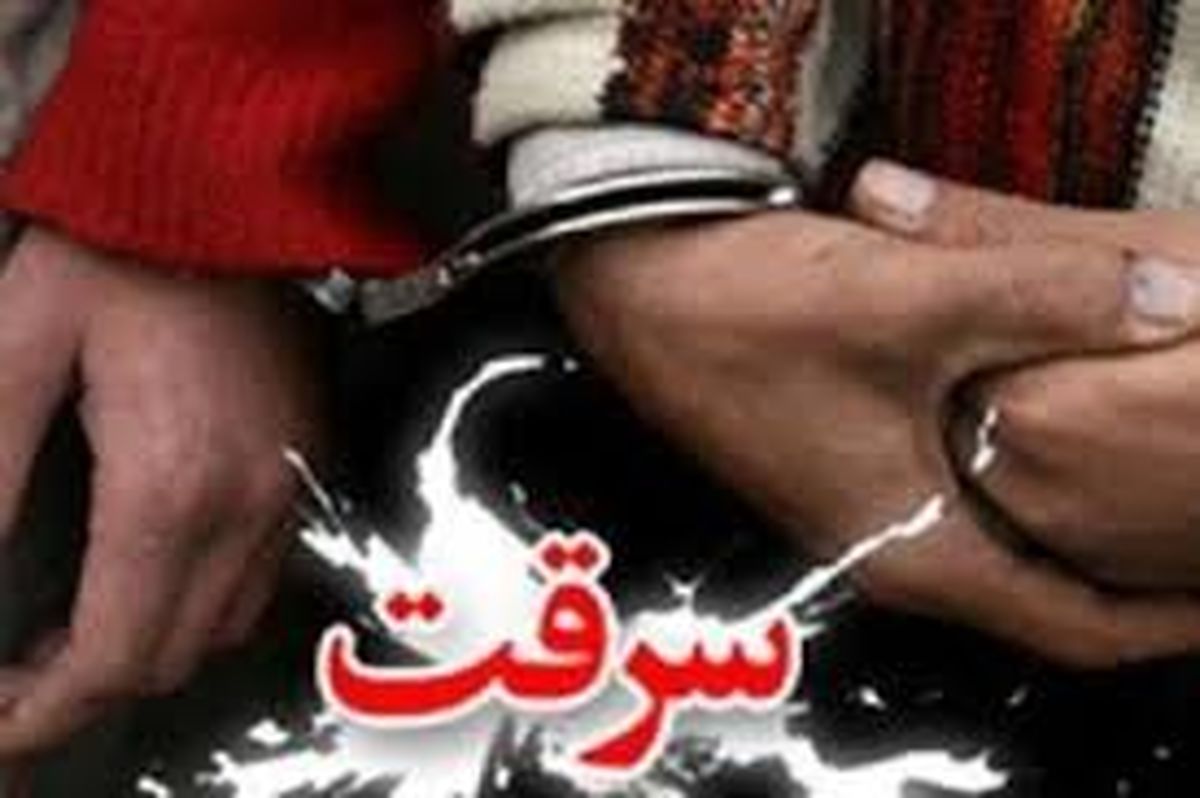 سارقان خودرو دهدشت دستگیر شدند