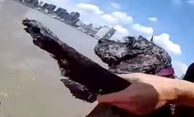 نجات جالب سگ گیر افتاده در رودخانه + فیلم