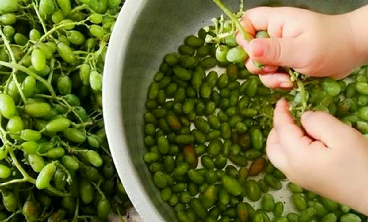 چگونه آبغوره خانگی درست کنیم؟