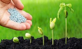 افزایش 10 درصدی محصولات کشاورزی با کودهای زیستی