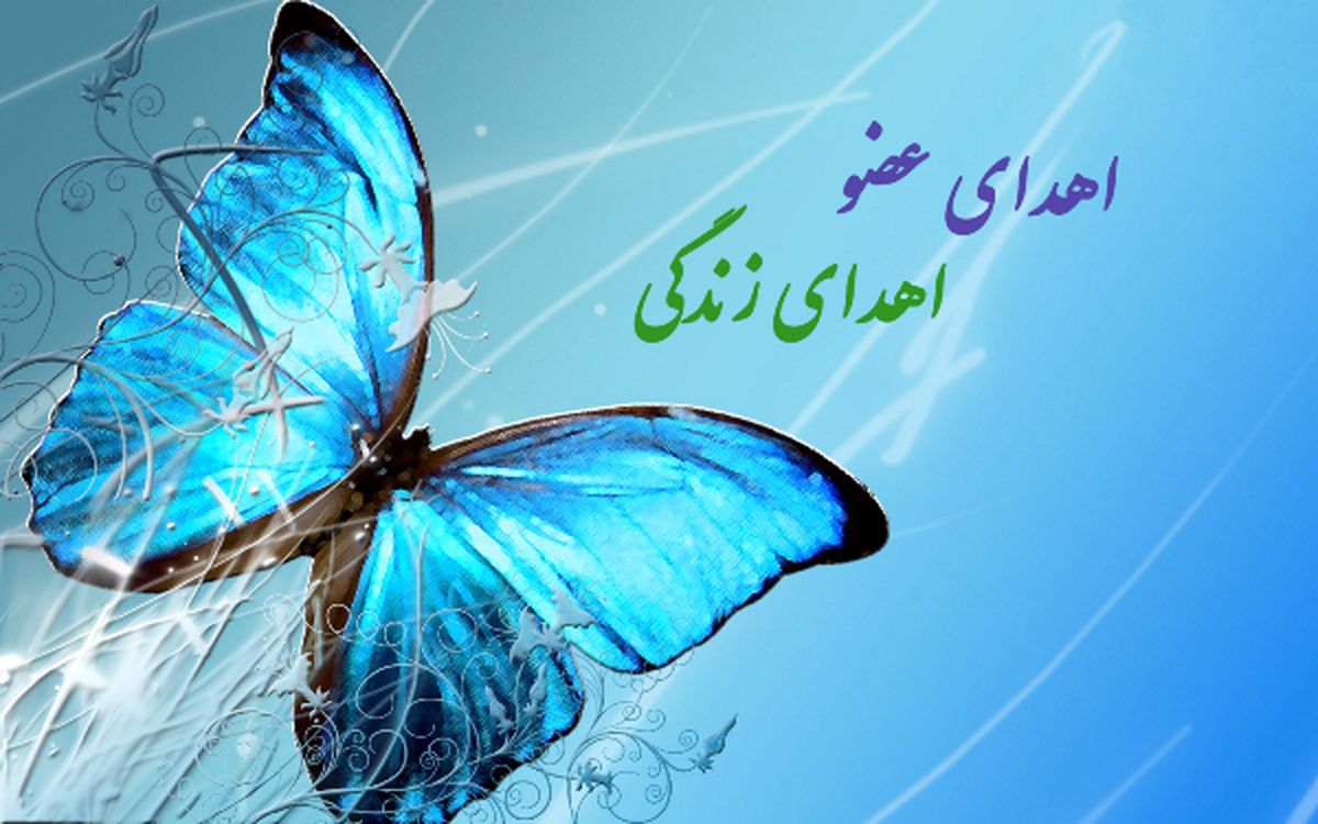 اهدا عضو جوان 27 ساله به 4 بیمار جان دوباره بخشید