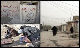 فروش وینچستر در ۵ کیلومتری حرم مطهر رضوی/ معاون فرماندار مشهد: نمی‌توان انکار کرد اما نگران کننده هم نیست!