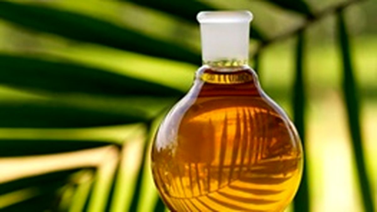 بررسی دوباره هشدارها درباره روغن پالم در اروپا