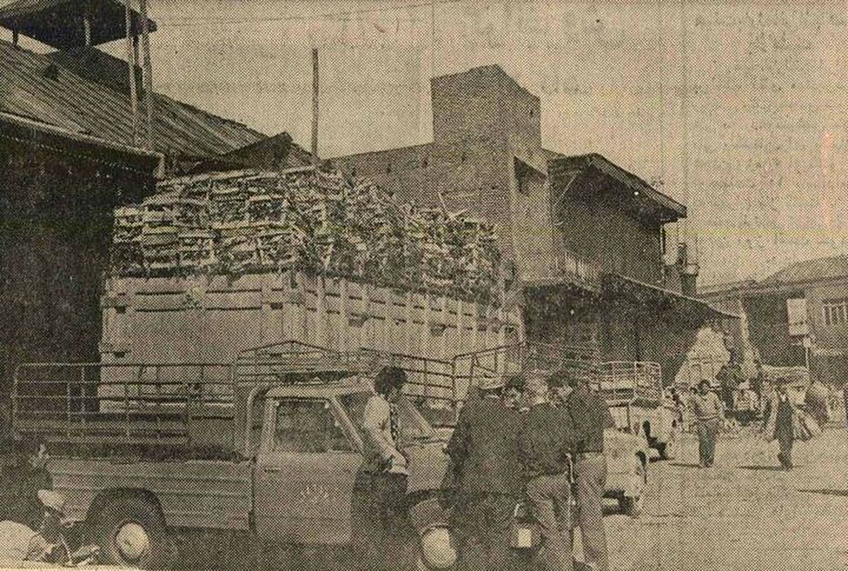 نرخ میوه و تره‌بار نوروز تهران در نیم قرن پیش