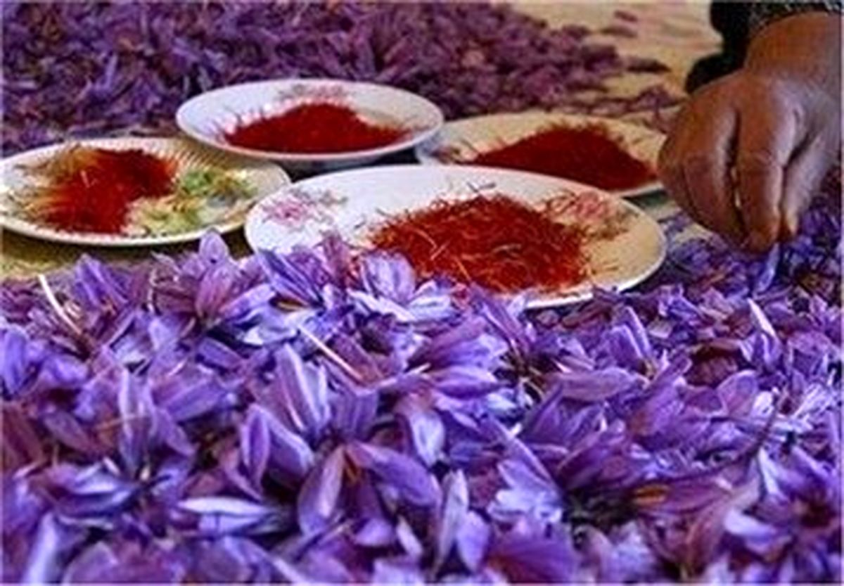 یک کیلو زعفران چند شد؟