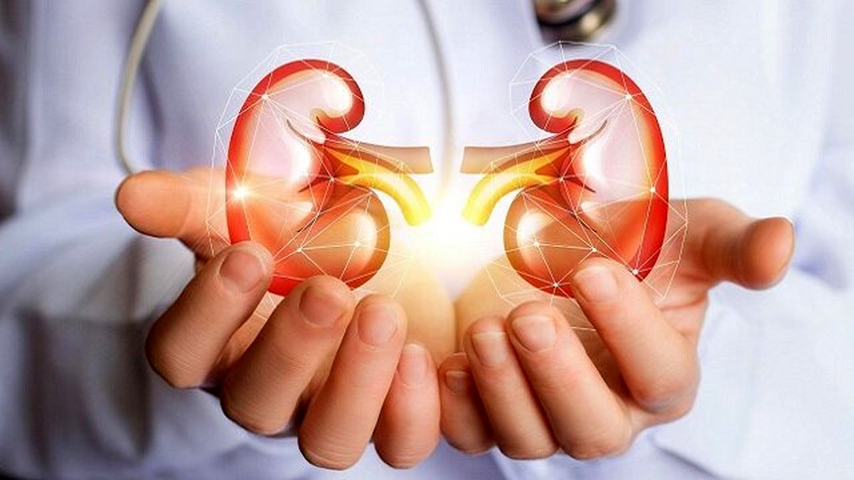 چگونه سلامت کلیه های خود را تضمین کنیم؟