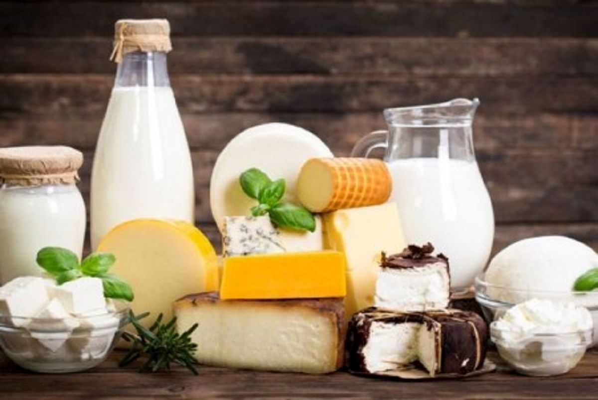 روش نگهداری لبنیات و نکات مهم برای حفظ سلامت آنها