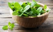 چرا با خوردن نعناع احساس سرما می کنیم؟