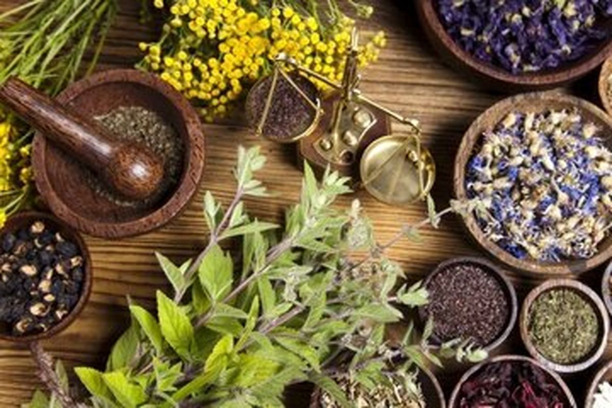 معرفی داروهای گیاهی برای بهبود بیماری‌های دهان