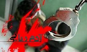 ربودن خانم دکتر در تهران