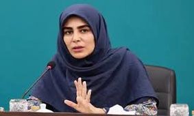 معاون وزیر ارشاد: شورای امنیت کشور، برگزاری کنسرت های خیابانی را تصویب کرده است 