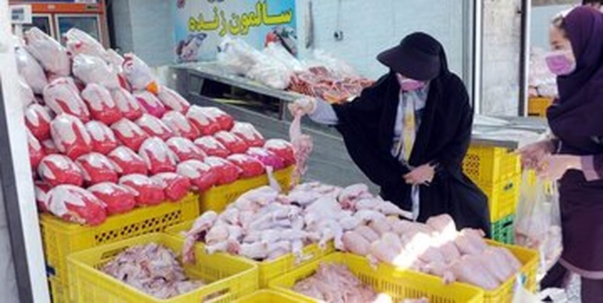 نماینده اقلید در مجلس: با دست فرمان فعلی وزارت جهاد مرغ را باید کیلویی ۵۰۰ هزار تومان خرید/ ویدئو