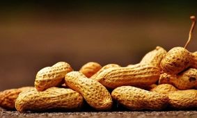 آلرژی غذایی می‌تواند عامل اختلالات رفتاری باشد

