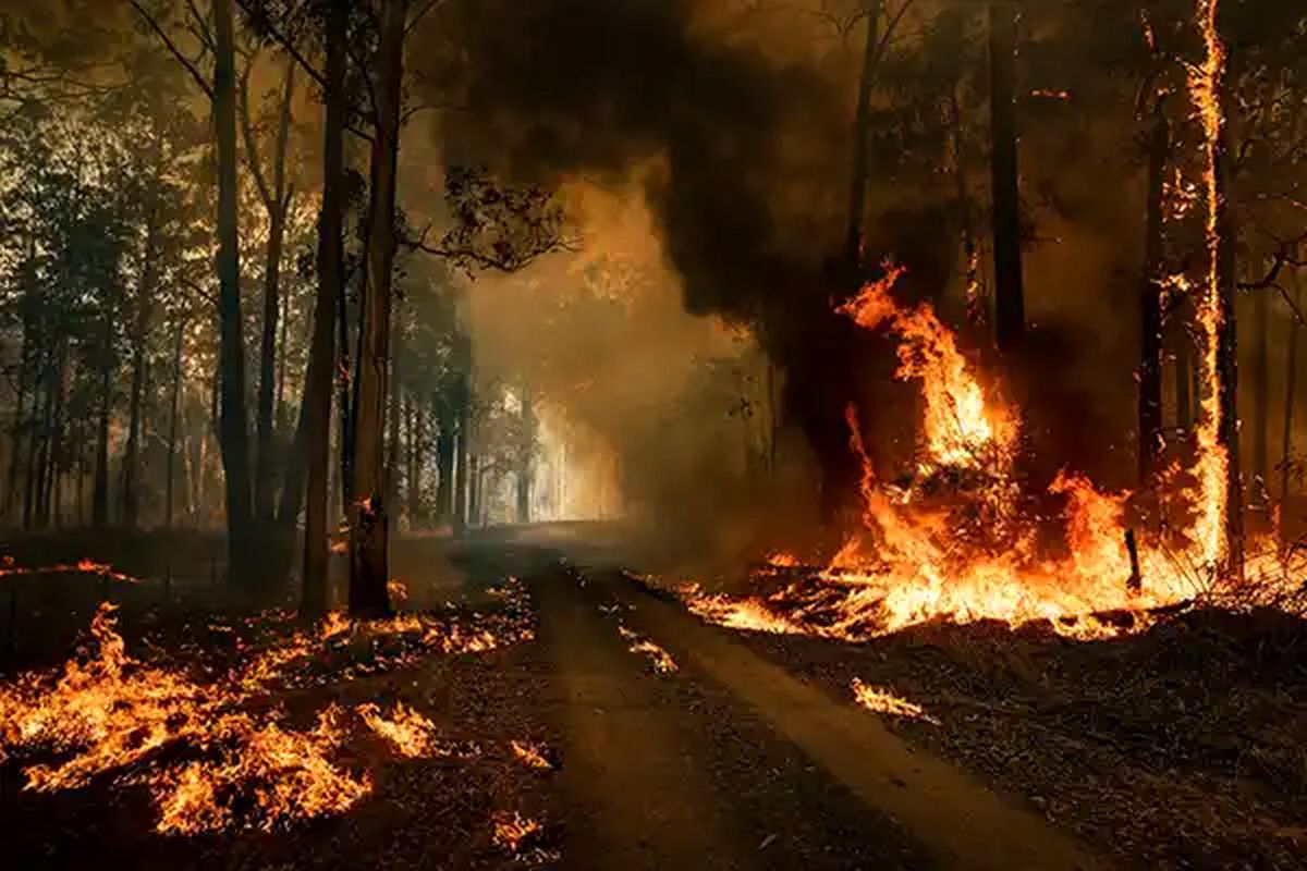 مراقب آتش سوزی جنگل ها در عید نوروز باشید 