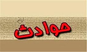 بیرون کشیدن مار پیتون از داخل توالت فرنگی