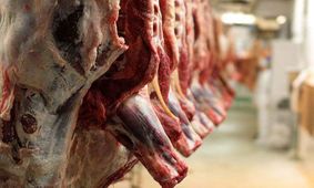 عدم تامین ارز گوشت وارداتی صحت ندارد/ بانک مرکزی مسوول 25 هزار تن گوشت نیست