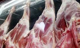 خروج دام از مرزهای غربی؛ عامل گرانی گوشت قرمز
