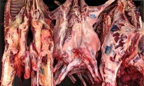 ظرف یکی ۲ هفته آینده مشکل توزیع گوشت قرمز حل می شود
