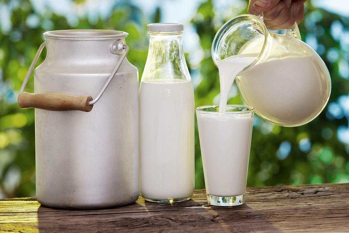 فواید شیر و ماهی از دیدگاه امام هشتم شیعیان(ع)