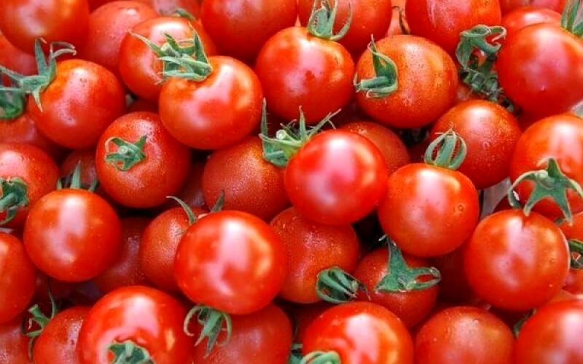 چرا لازم است هر روز یک گوجه بخوریم؟