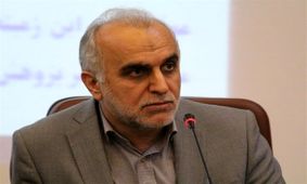 وزیر پیشنهادی اقتصاد:‌ به رئیس جمهور گفتم کوررنگی سیاسی دارم