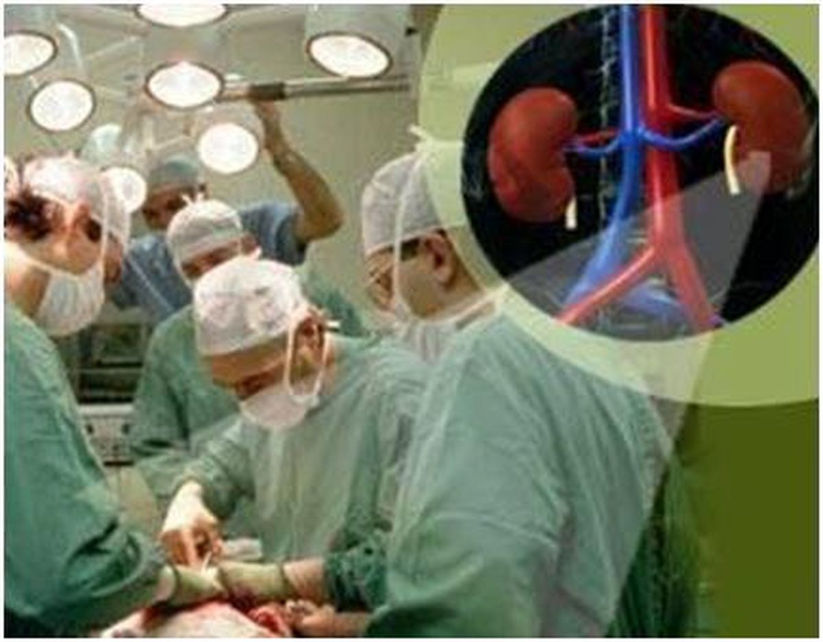 کاهش قیمت یک داروی پرمصرف بیماران پیوند کلیه
