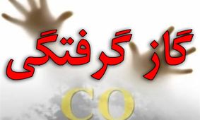 مسمومیت بیست و چهار نفر با گاز مونواکسید کربن