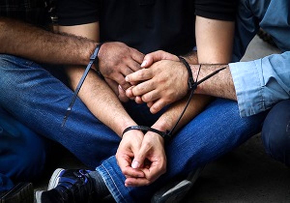 بازداشت عاملان قطع گسترده درختان شهر در اهواز