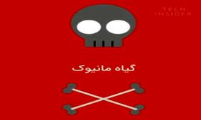 5 مورد از مـــرگبارترین غذا های دنیا