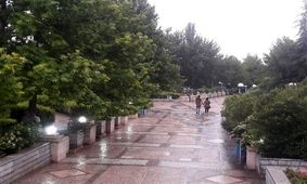 وزش باد شدید زنجان را فرا می گیرد